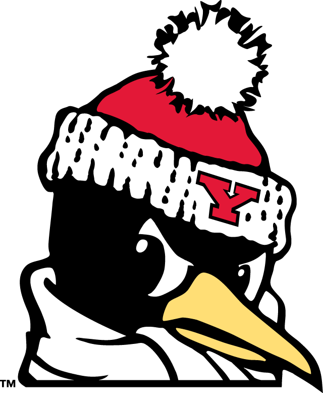 Youngstown State Penguins 1993-Pres Alternate Logo v9 DIY iron on transfer (heat transfer)